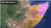 صومالیہ: الشباب کے ٹھکانوں کے خلاف امریکی فضائی کارروائی