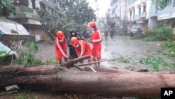 18일 인도 마후바에서 사이클론으로 인한 강풍으로 나무가 쓰러졌다.