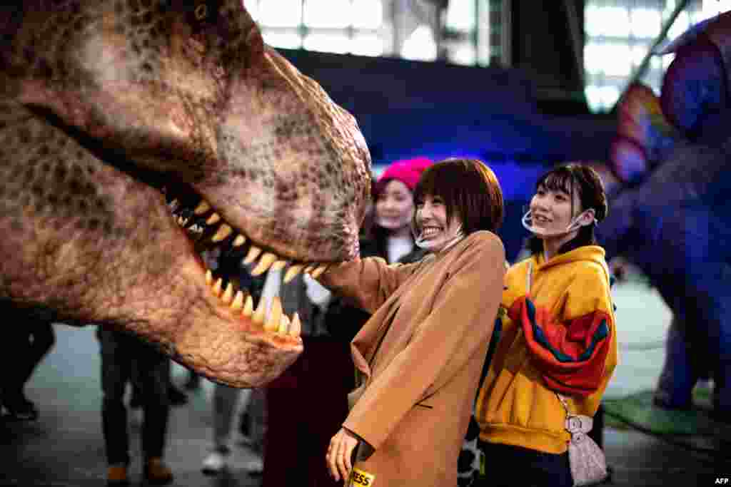 Members of the media touch a moving model of a Tyrannosaurus, during a media preview of the Dinoa Live Exhibition / Amazing Dinosaur Art Exhibition in the Shinjuku district of Tokyo.