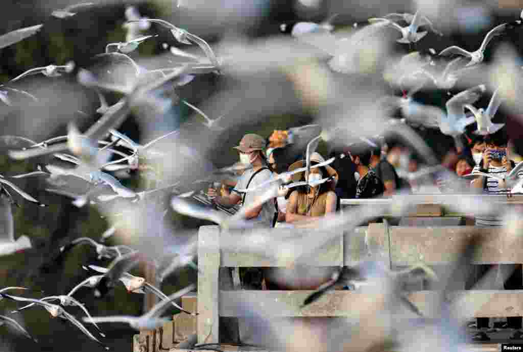 People watch seagulls at Bang Pu seaside vacation area in Samut Prakan province, Thailand.