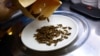 Singapore Approves Insects as Food