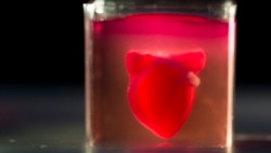 A 3D printer prints a heart with human tissue during a presentation at the University of Tel Aviv, in Tel Aviv, Israel, Monday, April 15, 2019. (AP Photo/Oded Balilty)