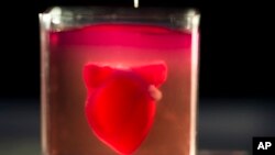A 3D printer prints a heart with human tissue during a presentation at the University of Tel Aviv, in Tel Aviv, Israel, Monday, April 15, 2019. (AP Photo/Oded Balilty)