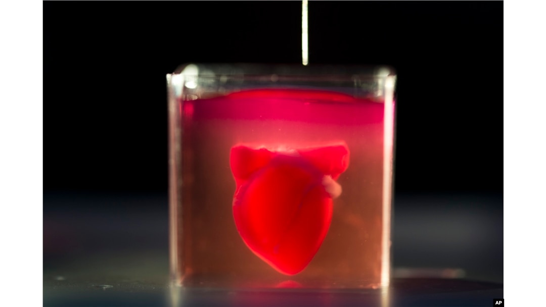 How Does A 3d Printed Heart Work