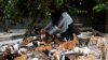Dita Agusta, 'Mama Cat' Ratusan Kucing Liar di Jakarta