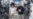 Return to Earth for 2 stuck NASA astronauts delayed until March