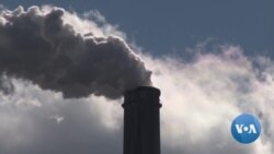 Coal Industry's Survival in Question as Companies Go Green