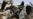 Nigeria Crash Stirs Political, Economic Fallout