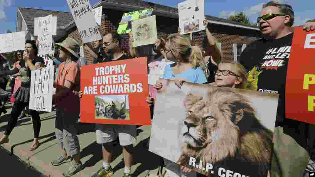 Des manifestants se rassemblent devant le cabinet dentaire du Dr Walter James Palmer à Bloomington, Minnestota., 29 juillet 2015.