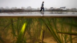 VOA连线(许湘筠)：专家：气候变化已对美国造成显著影响，需立即做出改变