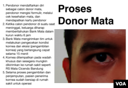 Proses donor mata (Grafis: VOA/Rio Tuasikal)