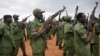 Troops in DRC Loyal to Machar Welcome in S. Sudan Areas Under Rebel Control