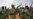 Can Fragile Peace Hold in South Sudan?