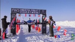 မြောက်ဝင်ရိုးစွန်းမာရသွန်၊ ဘောလုံးပွဲကိုလာတဲ့ ဝက်ဝံ