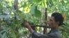 Melestarikan Hutan dan Sejahterakan Petani Melalui Program Kemitraan Kehutanan