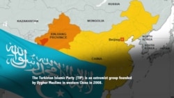 What Is the Turkistan Islamic Party?