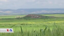 Li Cizîrê Barîna Baranên Pir Zarar li Çandinî Dike