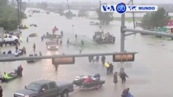 Manchetes Mundo 30 Agosto 2017: Harvey a caminho da Louisiana