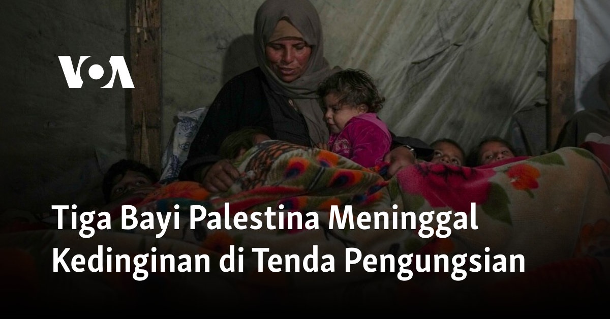 Tiga Bayi Palestina Meninggal Kedinginan di Tenda Pengungsian