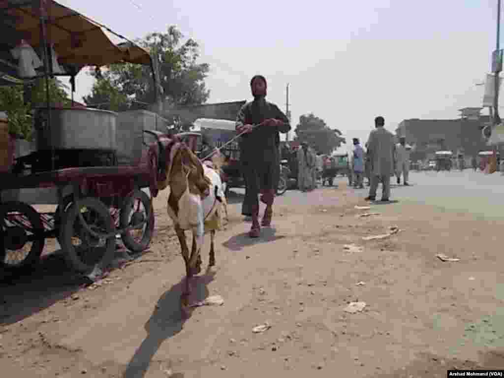 NWA IDPs during Food Distribution 06