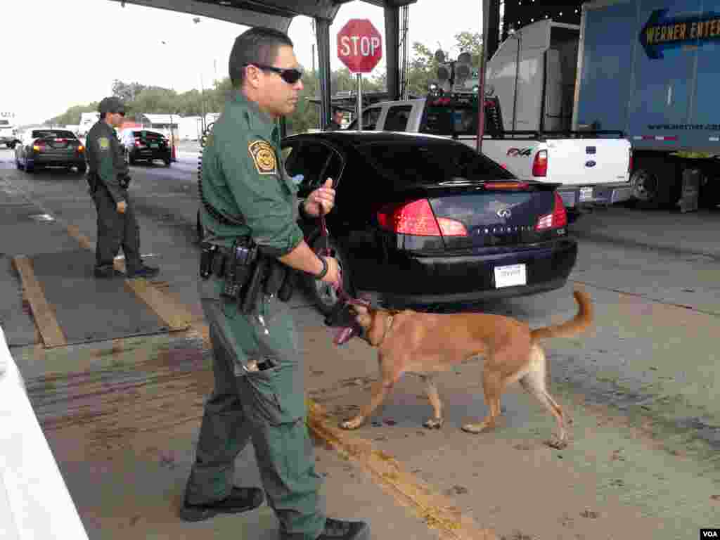 Los perros policías huelen los vehículos por la posible presencia de personas escondidas, así como drogas [Foto: Celia Mendoza, VOA].
