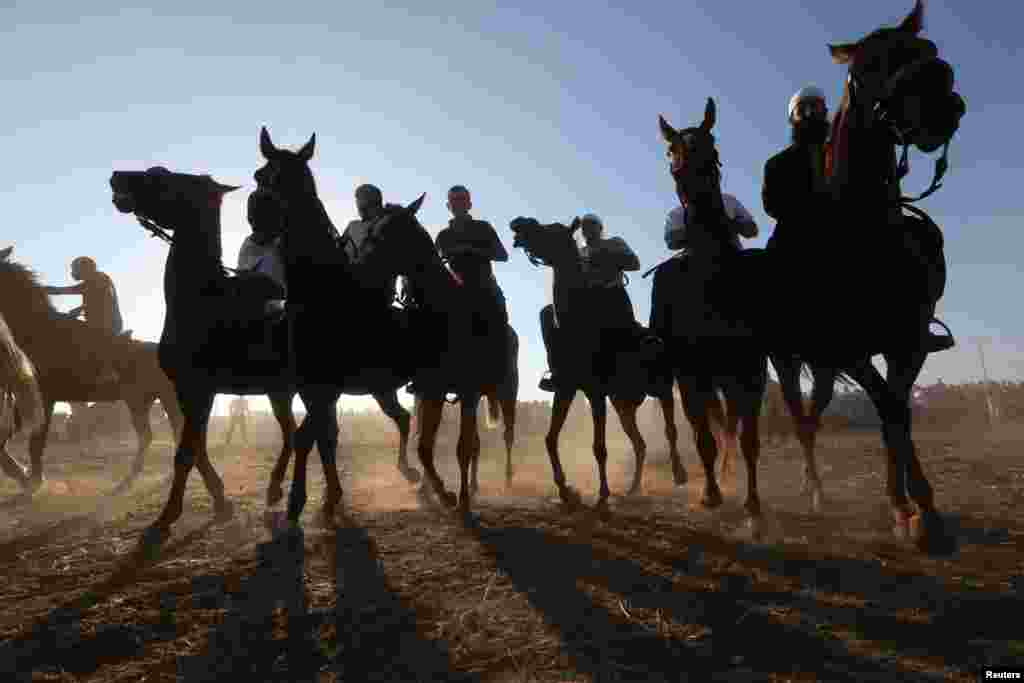 Orang-orang Palestina mengendarai kuda-kuda di festival Bedouin di Jalur Gaza bagian tengah.