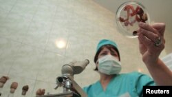 A laboratory worker holds samples of poultry entrails to test for bird flu in a laboratory in the eastern Ukrainian city of Donetsk on December 7, 2005 (Alexander Khudotioply/Reuters)