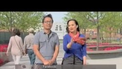 Menyambut Musim Semi (2) - Warung VOA