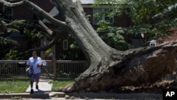 Oboreno stablo ispred kuće u Vašingtonu