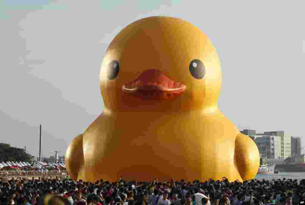 A giant yellow duck sits at the Glory Pier in the port of Kaohsiung, Taiwan. Despite the heat, thousands flocked to the port to see Dutch artist Florentijn Hofman&#39;s famous 18-meter (59-foot) yellow duck, a gigantic version of the iconic bathtub toy used by children around the world.