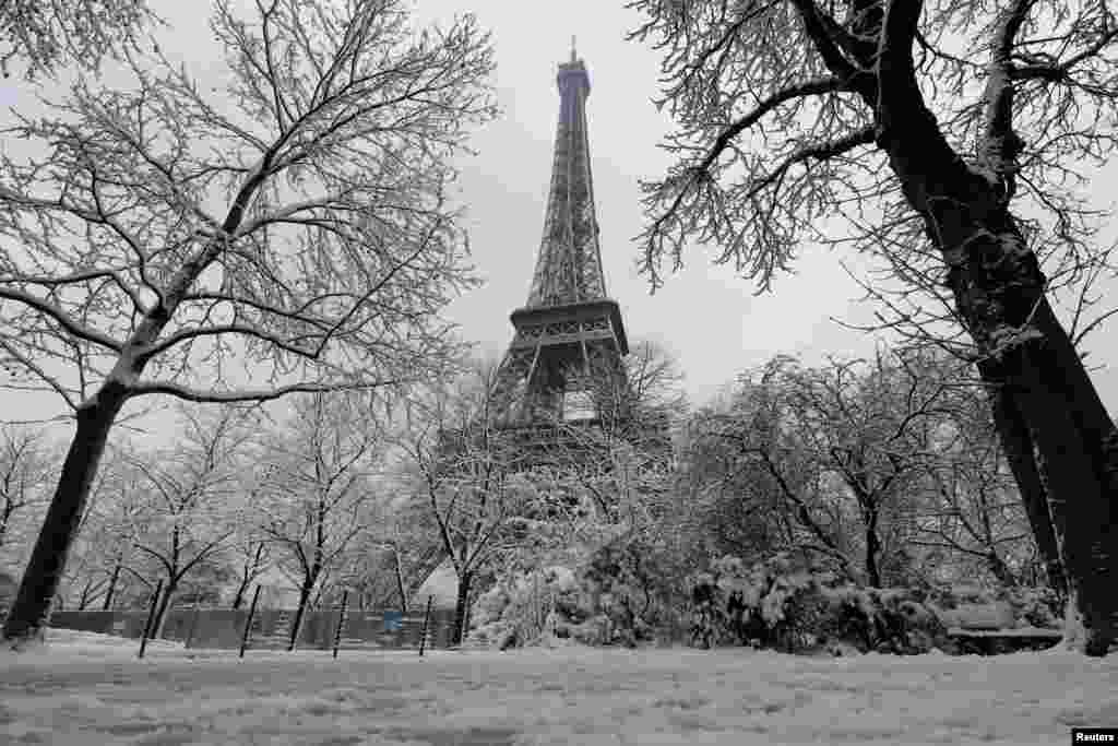 درختان پوشیده از برف در نزدیکی برج ایفل پاریس &nbsp;