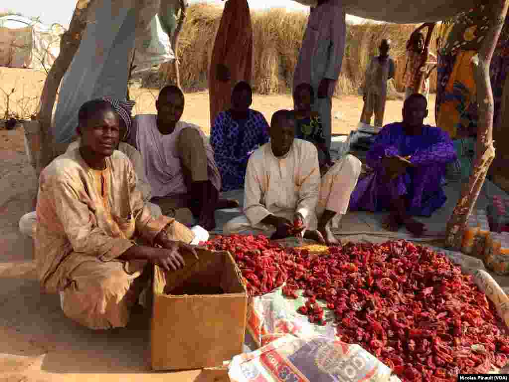 Des réfugiés d'Assaga-Nigeria montrent leur production de poivrons rouges, le 28 février 2016. Le commerce en avait été interdit pendant des mois car les autorités estimaient que cela finançait Boko Haram. (VOA/Nicolas Pinault)