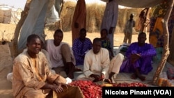 Des réfugiés d'Assaga-Nigeria montrent leur production de poivrons rouges, le 28 février 2016. Le commerce en avait été interdit pendant des mois car les autorités estimaient que cela finançait Boko Haram. (VOA/Nicolas Pinault)