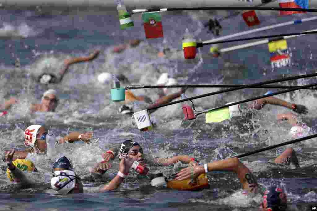 Swimmers reach for drink bottles while competing in the women's 10km open water swim at the World Swimming Championships in Yeosu, South Korea.