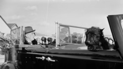 Собака Рузвельта Фала, Вашингтон, 12 лютого 1944 року