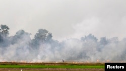 A farmer burns a paddy field to clear the land for a new crop in Thailand's Nakhonsawan province, north of Bangkok July 21, 2013.