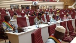 Nigɛr jamana lahaalaya n’a ni CEDEAO cɛsira gɛlɛnw Mali politiki musow fekow