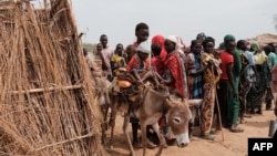 FILES - Ali Abdula, 16, guides his donkey carrying his two younger siblings, both suffering from malnutrition, past people lining up to register for aid at a camp for internally displaced persons (IDP) in Agari, South Kordofan, June 17, 2024. 