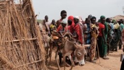 FILES - Ali Abdula, 16, guides his donkey carrying his two younger siblings, both suffering from malnutrition, past people lining up to register for aid at a camp for internally displaced persons (IDP) in Agari, South Kordofan, June 17, 2024. 