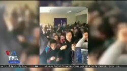 اخبار شبانگاهی
