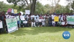 Nigerian Students Join Global Fight for Climate Action