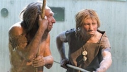 Science in a Minute: Human Ancestors Added Carbohydrates to Diets 100,000 Years Ago