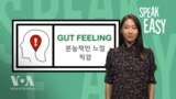 [Speak Easy] 직감 'gut feeling'