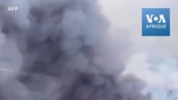 Un incendie ravage une partie de la forêt de Patagonie