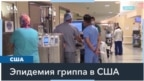 Грипп в США 
