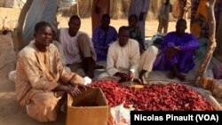 Des réfugiés d'Assaga-Nigeria montrent leur production de poivrons rouges, le 28 février 2016. Le commerce en avait été interdit pendant des mois car les autorités estimaient que cela finançait Boko Haram. (VOA/Nicolas Pinault)