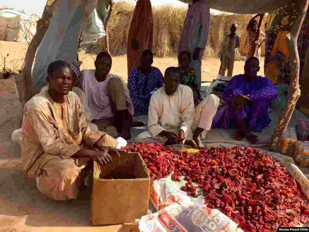 Refugees from Assaga-Nigeria show off red peppers they produced, Feb. 28, 2016. Business had been forbidden for months as authorities feared it financed Boko Haram militants. (N. Pinault/VOA)