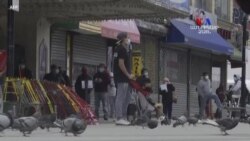 Մանրամասնություններ` 60 օրով ներգաղթը դադարեցնելու ԱՄՆ-ի նախագահի որոշման մասին