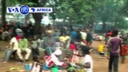 Manchetes Africanas
26 Novembro 2013