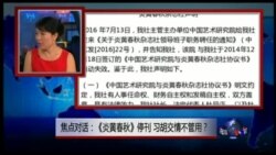 VOA卫视(2016年7月23日 第一小时节目 焦点对话 完整版(重播))